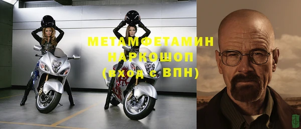 гидра Михайловск