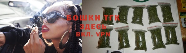 гидра Михайловск