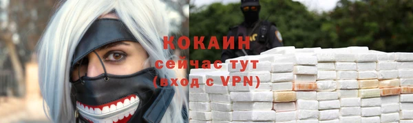 гидра Михайловск