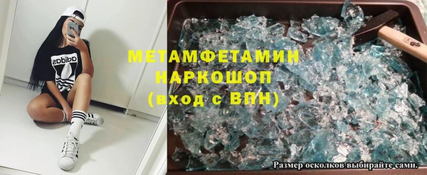 гидра Михайловск