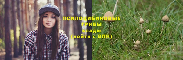 гидра Михайловск